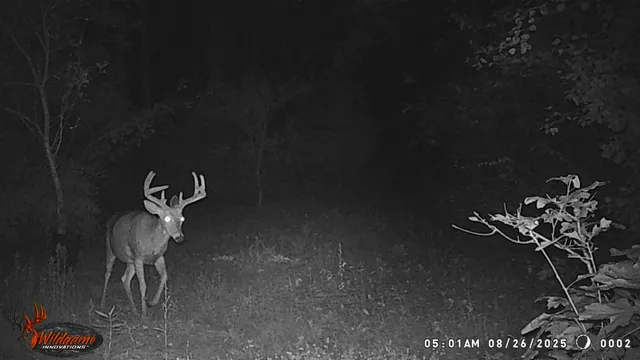 $259,900 | 8752 Hwy A Almond Wi 54909, Almond, WI 54909