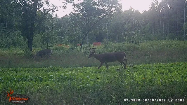 $259,900 | 8752 Hwy A Almond Wi 54909, Almond, WI 54909