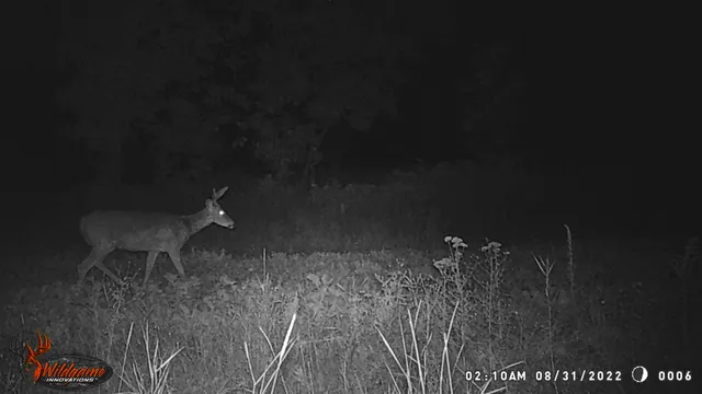 $259,900 | 8752 Hwy A Almond Wi 54909, Almond, WI 54909