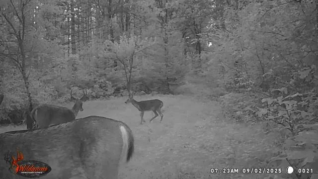 $259,900 | 8752 Hwy A Almond Wi 54909, Almond, WI 54909