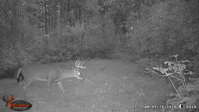 $259,900 | 8752 Hwy A Almond Wi 54909, Almond, WI 54909