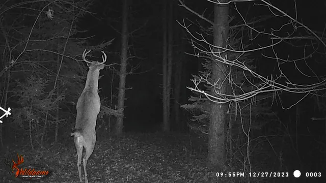 $259,900 | 8752 Hwy A Almond Wi 54909, Almond, WI 54909