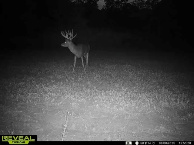 $259,900 | 8752 Hwy A Almond Wi 54909, Almond, WI 54909