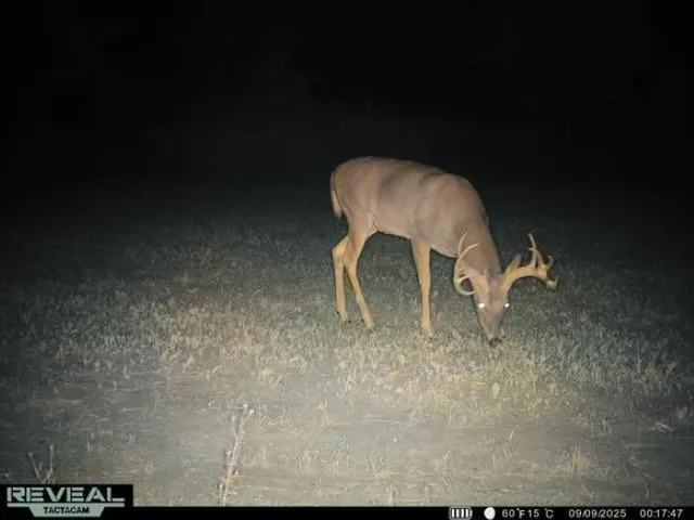 $259,900 | 8752 Hwy A Almond Wi 54909, Almond, WI 54909