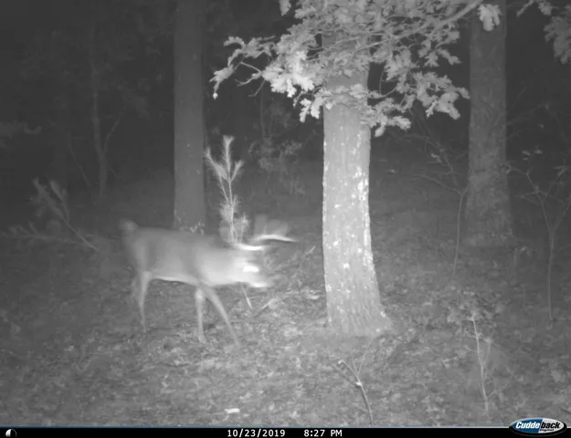 $259,900 | 8752 Hwy A Almond Wi 54909, Almond, WI 54909