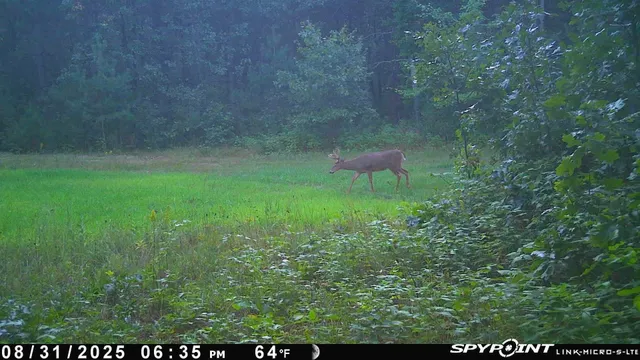 $259,900 | 8752 Hwy A Almond Wi 54909, Almond, WI 54909