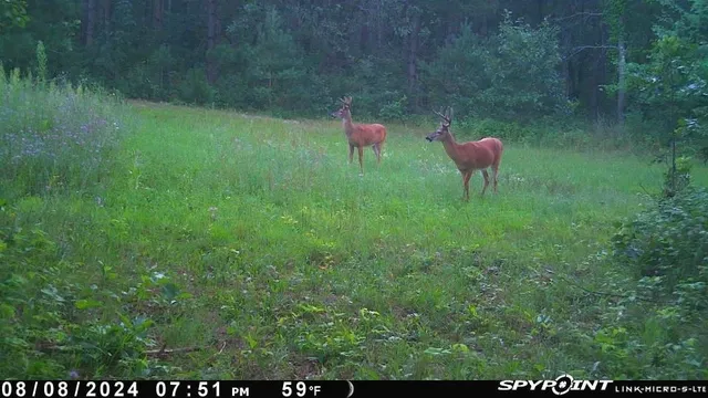 $259,900 | 8752 Hwy A Almond Wi 54909, Almond, WI 54909