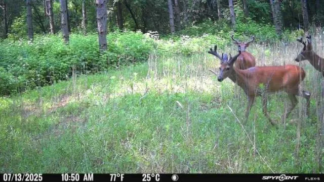 $259,900 | 8752 Hwy A Almond Wi 54909, Almond, WI 54909