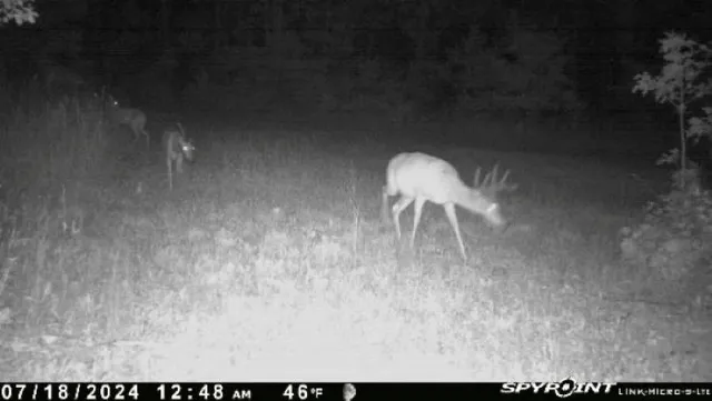 $259,900 | 8752 Hwy A Almond Wi 54909, Almond, WI 54909