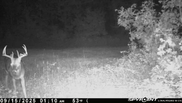 $259,900 | 8752 Hwy A Almond Wi 54909, Almond, WI 54909