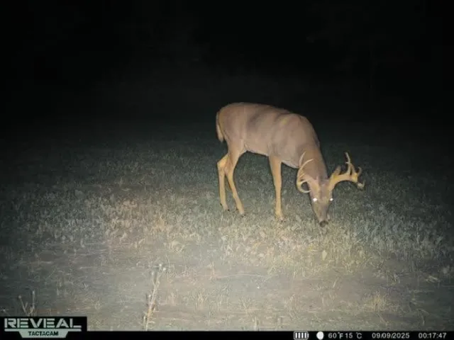 $259,900 | 8752 Hwy A Almond Wi 54909, Almond, WI 54909