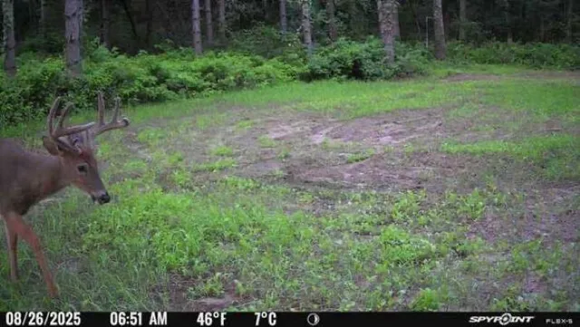 $259,900 | 8752 Hwy A Almond Wi 54909, Almond, WI 54909