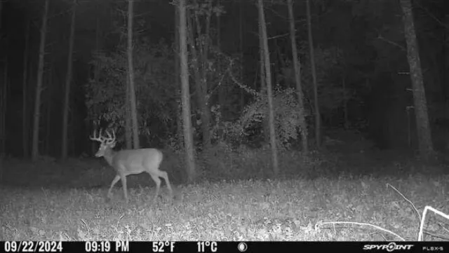 $259,900 | 8752 Hwy A Almond Wi 54909, Almond, WI 54909