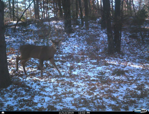 $259,900 | 8752 Hwy A Almond Wi 54909, Almond, WI 54909