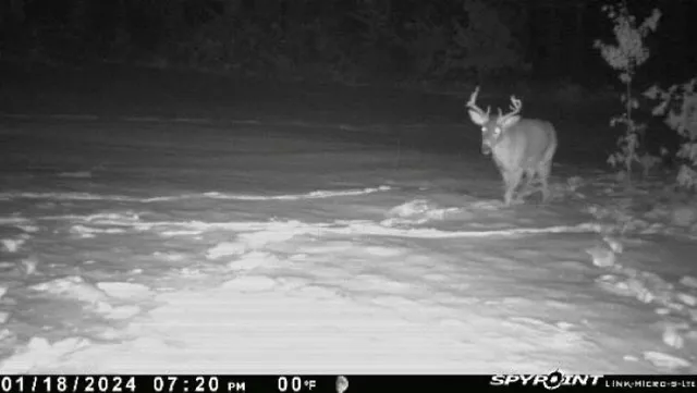 $259,900 | 8752 Hwy A Almond Wi 54909, Almond, WI 54909