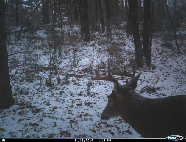 $259,900 | 8752 Hwy A Almond Wi 54909, Almond, WI 54909