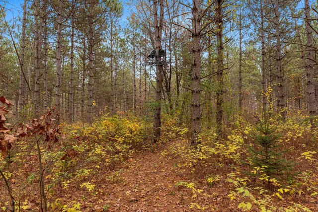 $259,900 | 8752 Hwy A Almond Wi 54909, Almond, WI 54909