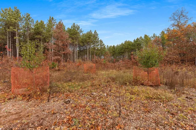 $259,900 | 8752 Hwy A Almond Wi 54909, Almond, WI 54909