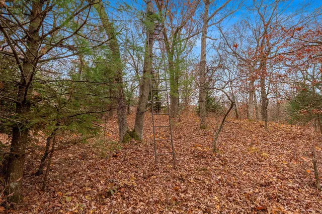 $259,900 | 8752 Hwy A Almond Wi 54909, Almond, WI 54909