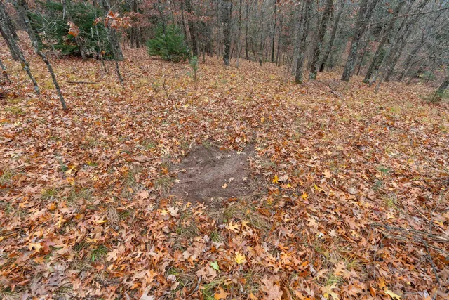 $259,900 | 8752 Hwy A Almond Wi 54909, Almond, WI 54909