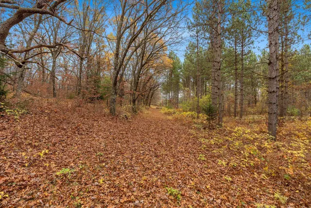 $259,900 | 8752 Hwy A Almond Wi 54909, Almond, WI 54909