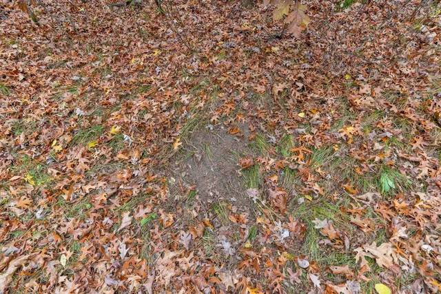 $259,900 | 8752 Hwy A Almond Wi 54909, Almond, WI 54909