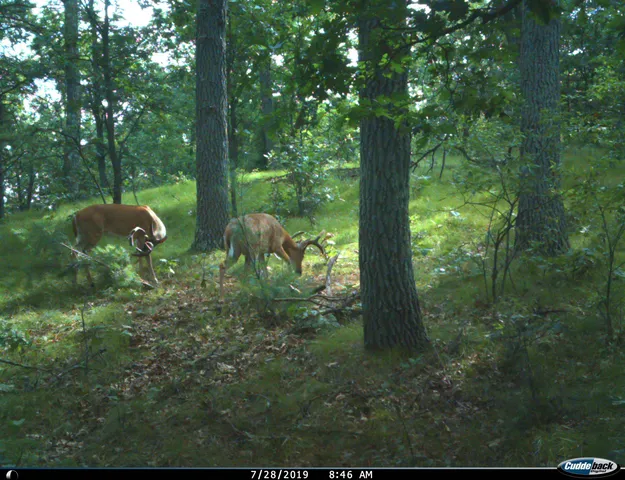 $259,900 | 8752 Hwy A Almond Wi 54909, Almond, WI 54909