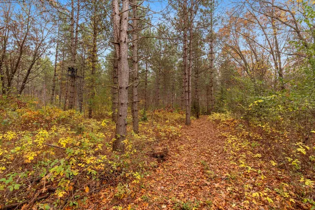 $259,900 | 8752 Hwy A Almond Wi 54909, Almond, WI 54909