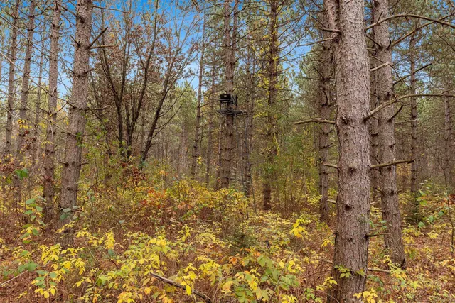 $259,900 | 8752 Hwy A Almond Wi 54909, Almond, WI 54909