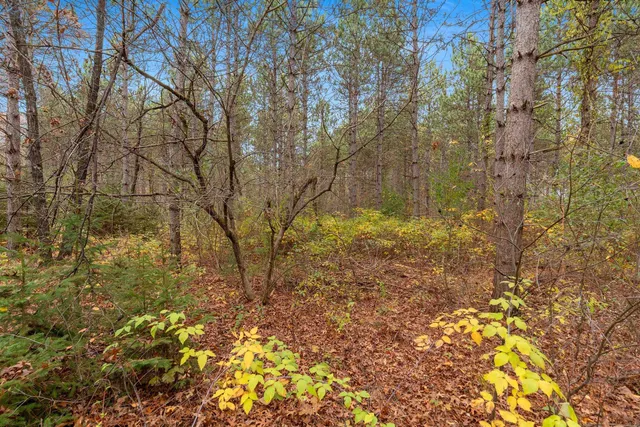 $259,900 | 8752 Hwy A Almond Wi 54909, Almond, WI 54909