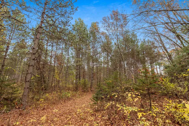 $259,900 | 8752 Hwy A Almond Wi 54909, Almond, WI 54909