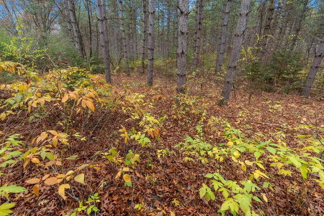 $259,900 | 8752 Hwy A Almond Wi 54909, Almond, WI 54909