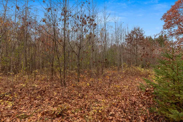 $259,900 | 8752 Hwy A Almond Wi 54909, Almond, WI 54909