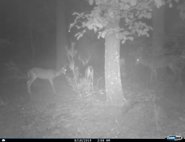 $259,900 | 8752 Hwy A Almond Wi 54909, Almond, WI 54909