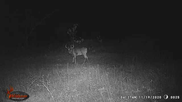 $259,900 | 8752 Hwy A Almond Wi 54909, Almond, WI 54909