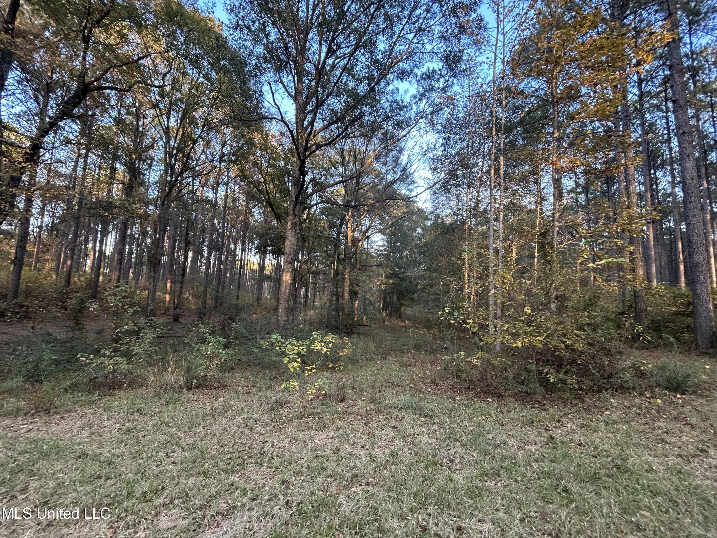 4024 Old Mill Road Osyka, MS 39657 - Photo 12 of 76 IMG_1042