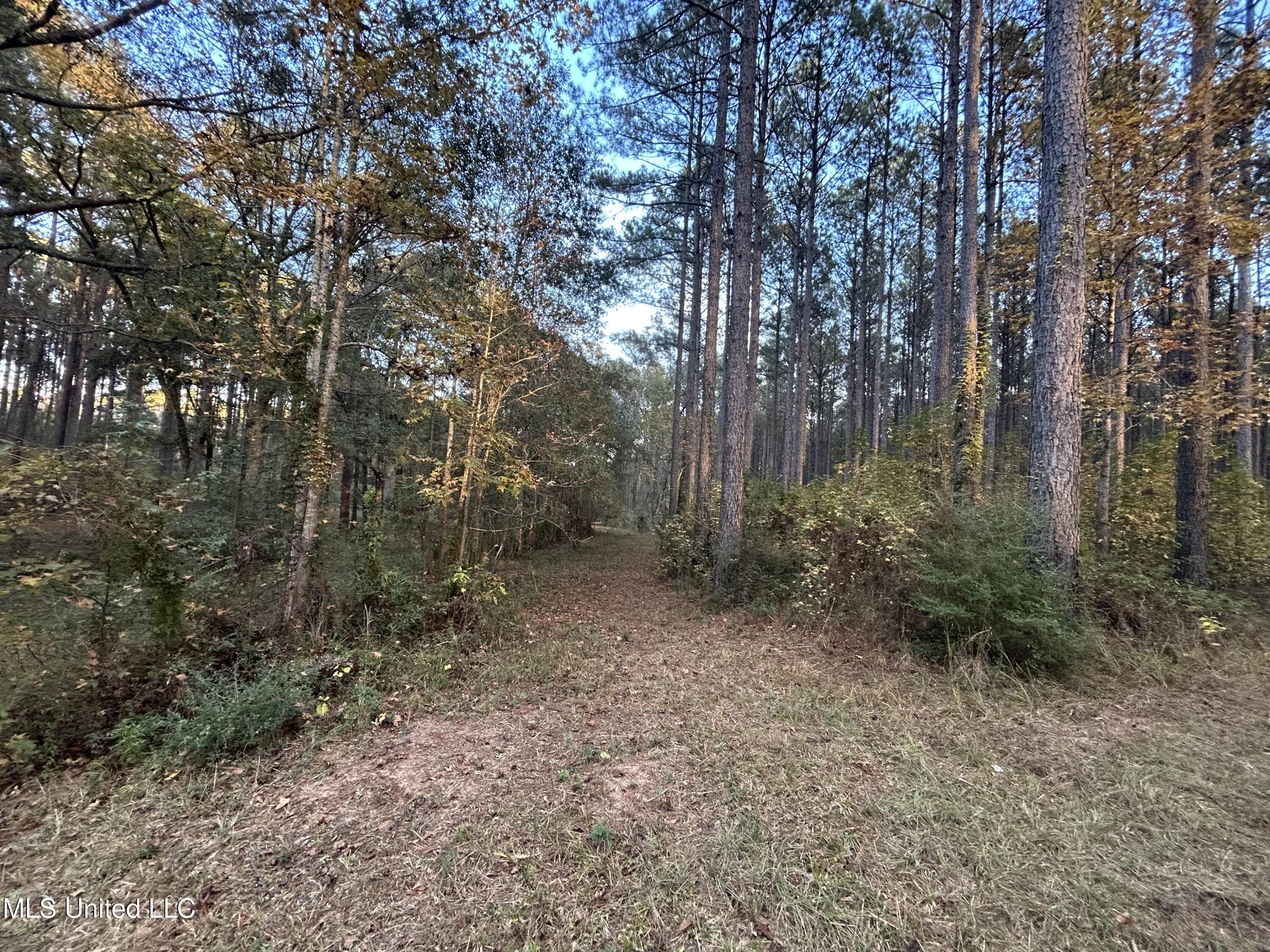 4024 Old Mill Road Osyka, MS 39657 - Photo 13 of 76 IMG_1044