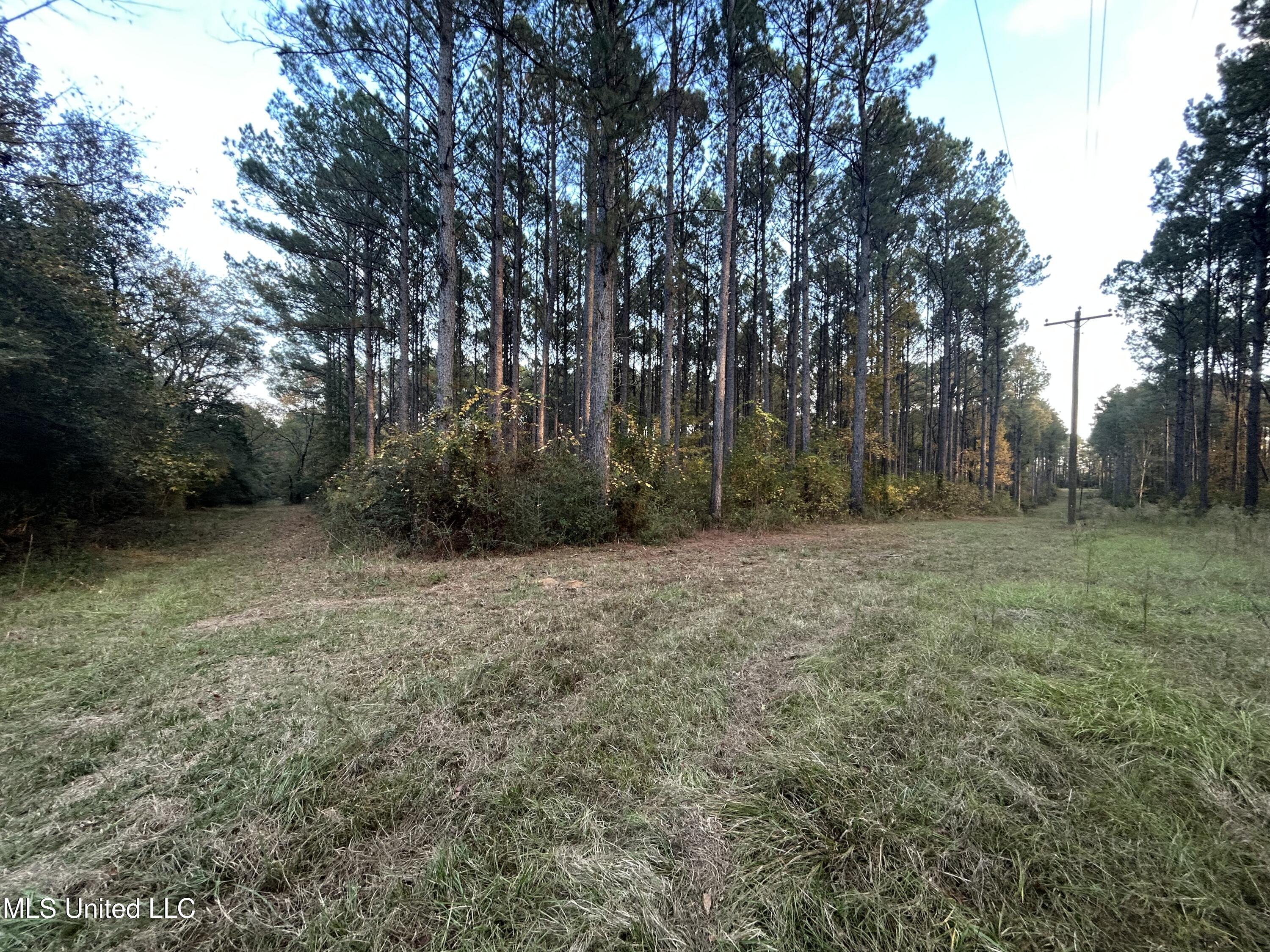4024 Old Mill Road Osyka, MS 39657 - Photo 14 of 76 IMG_1051