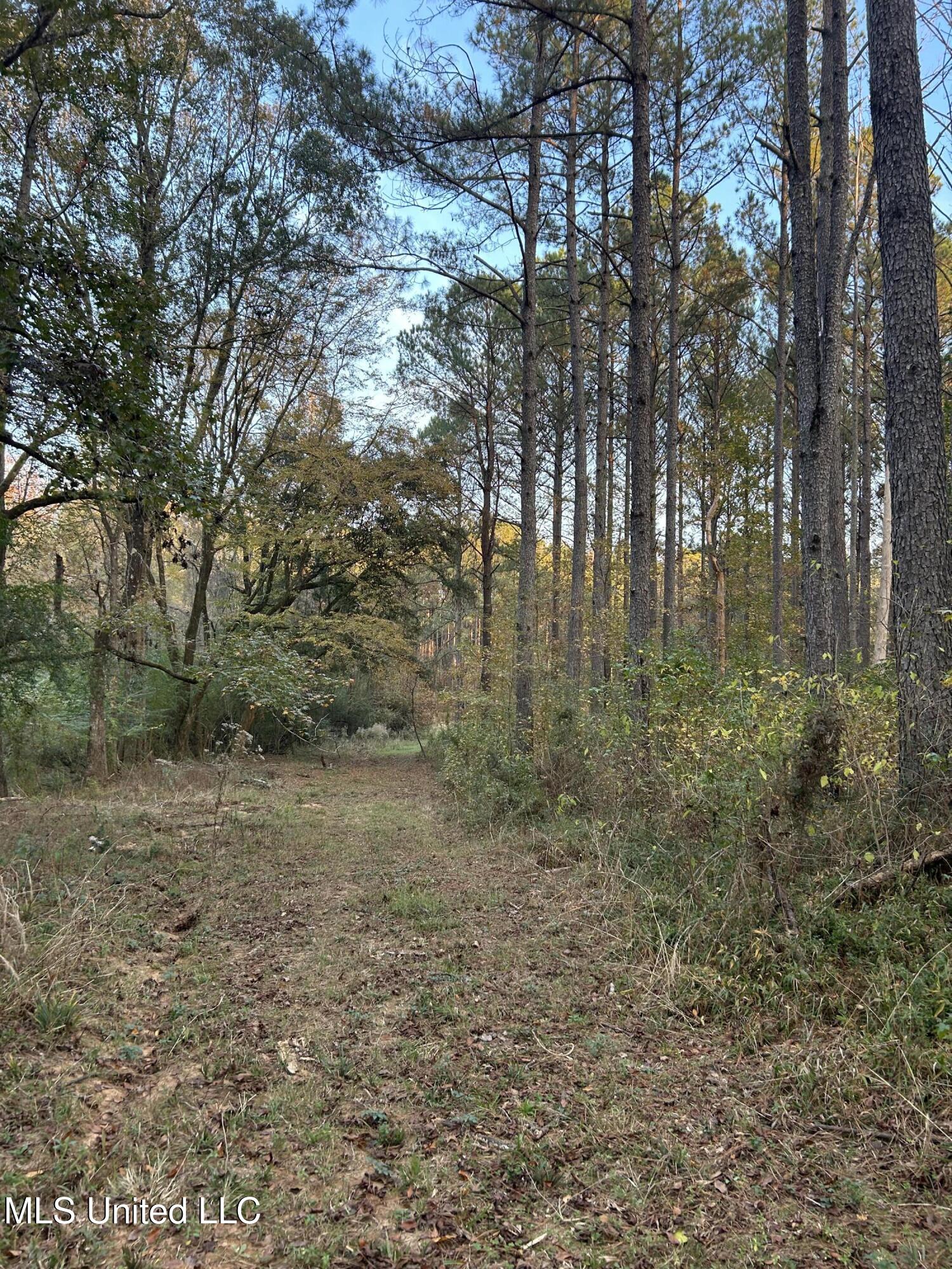 4024 Old Mill Road Osyka, MS 39657 - Photo 16 of 76 IMG_1055