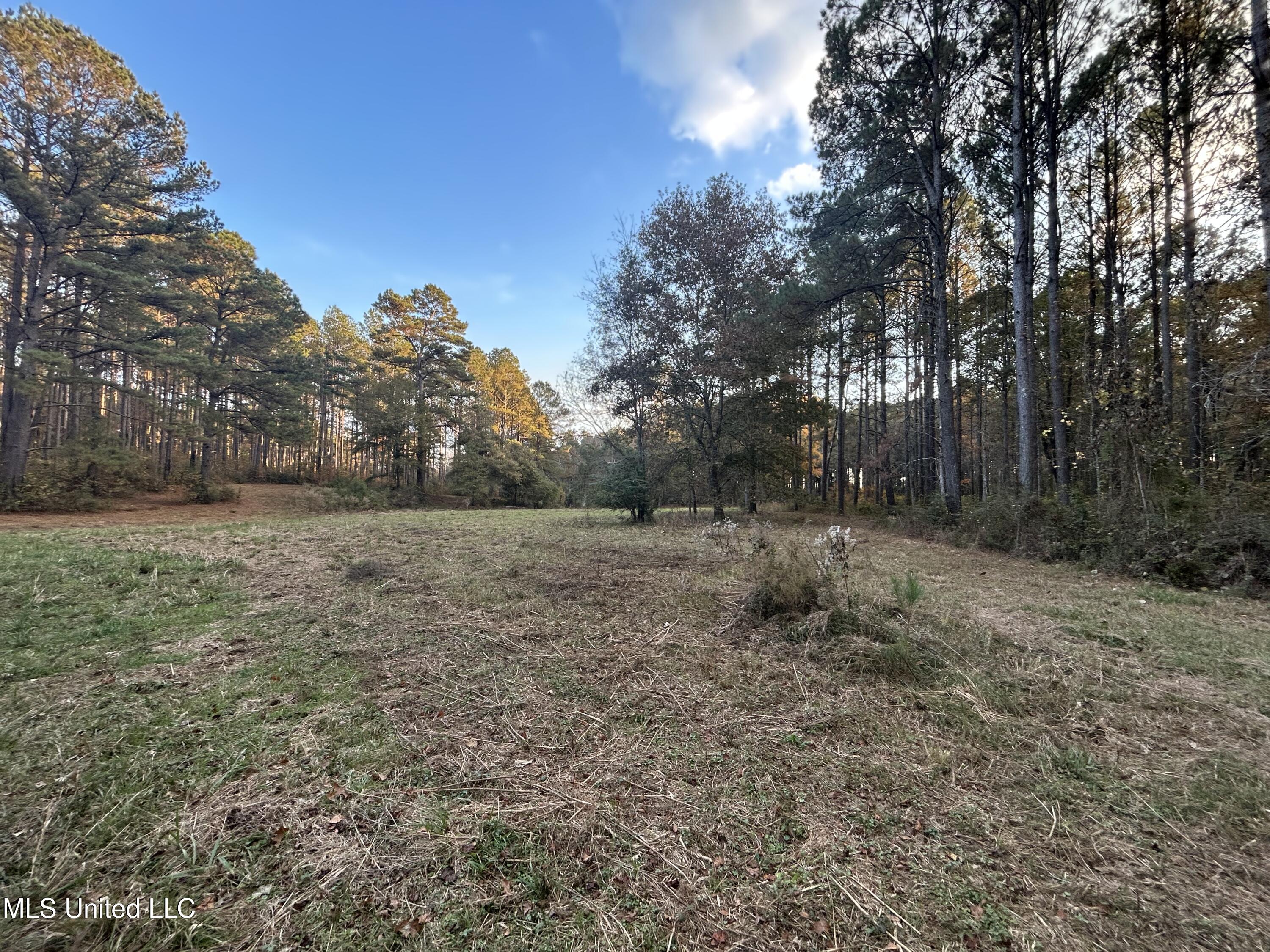 4024 Old Mill Road Osyka, MS 39657 - Photo 17 of 76 IMG_1057