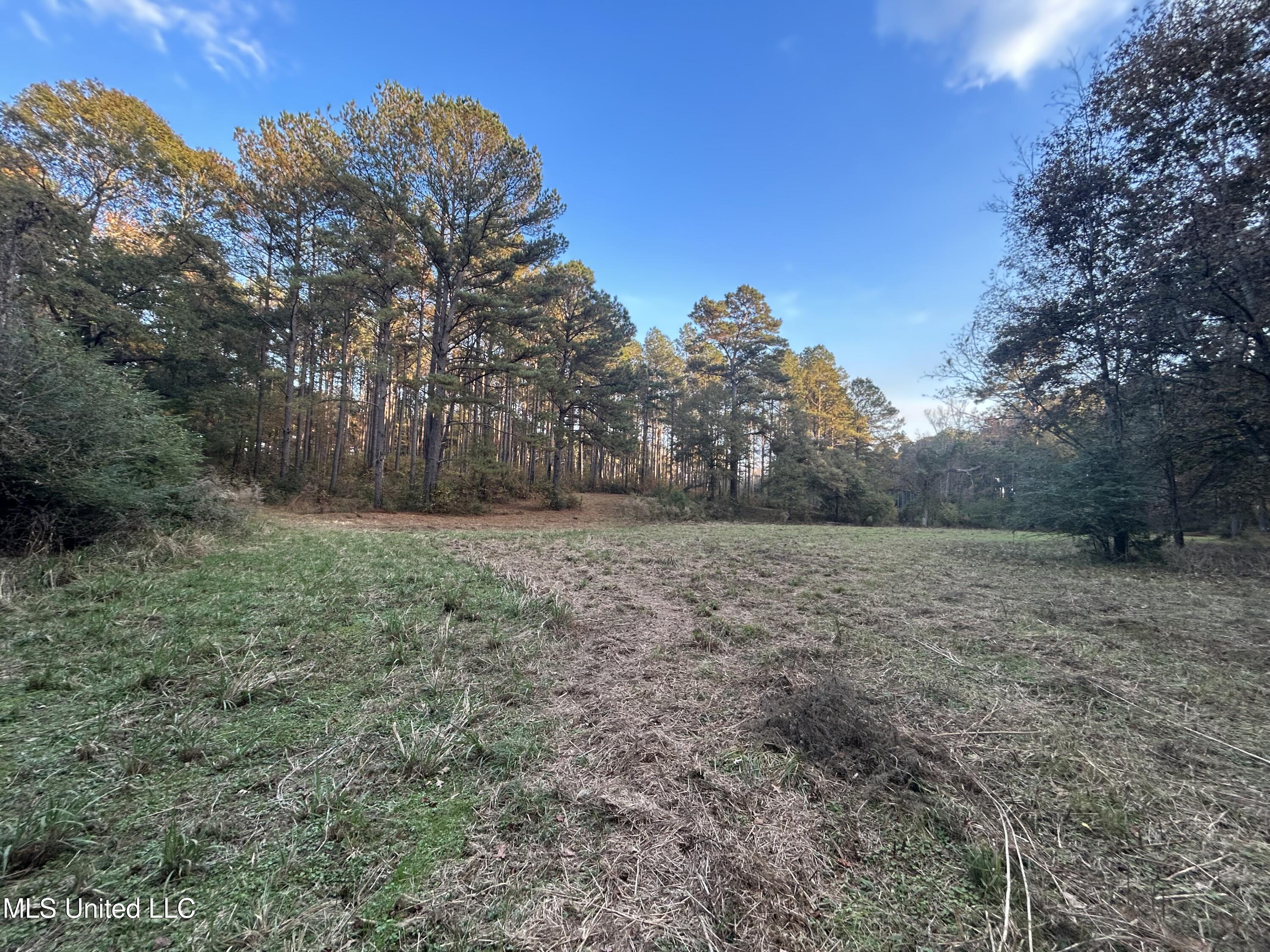 4024 Old Mill Road Osyka, MS 39657 - Photo 2 of 76 IMG_1061