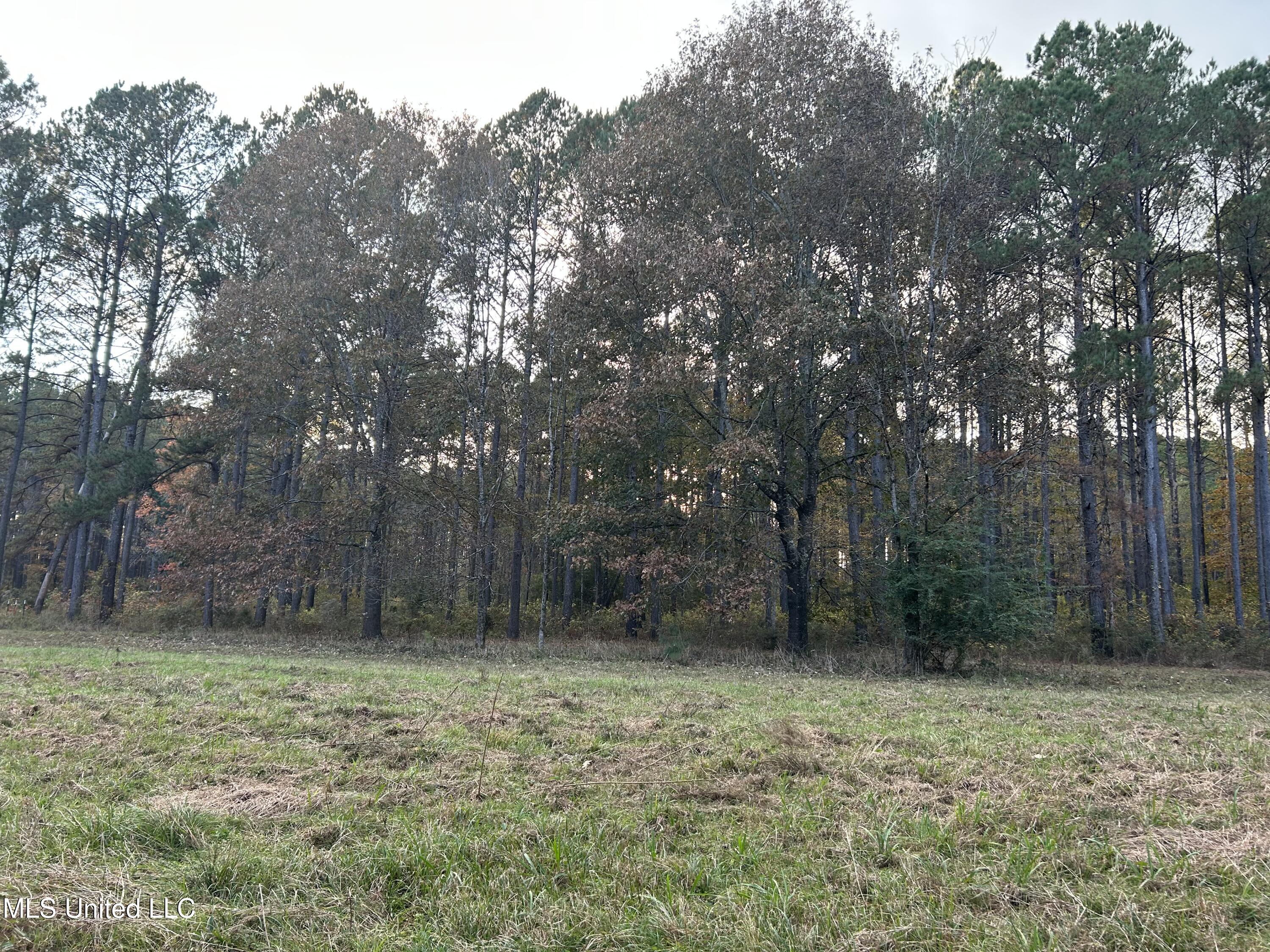 4024 Old Mill Road Osyka, MS 39657 - Photo 22 of 76 IMG_1071