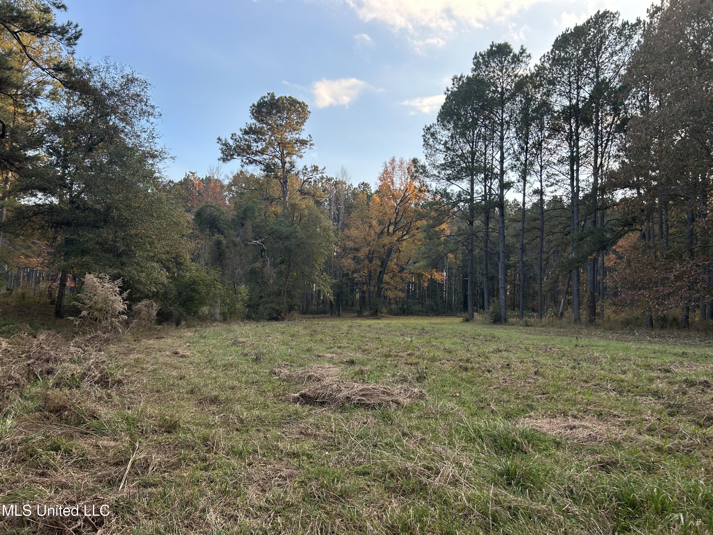4024 Old Mill Road Osyka, MS 39657 - Photo 23 of 76 IMG_1072