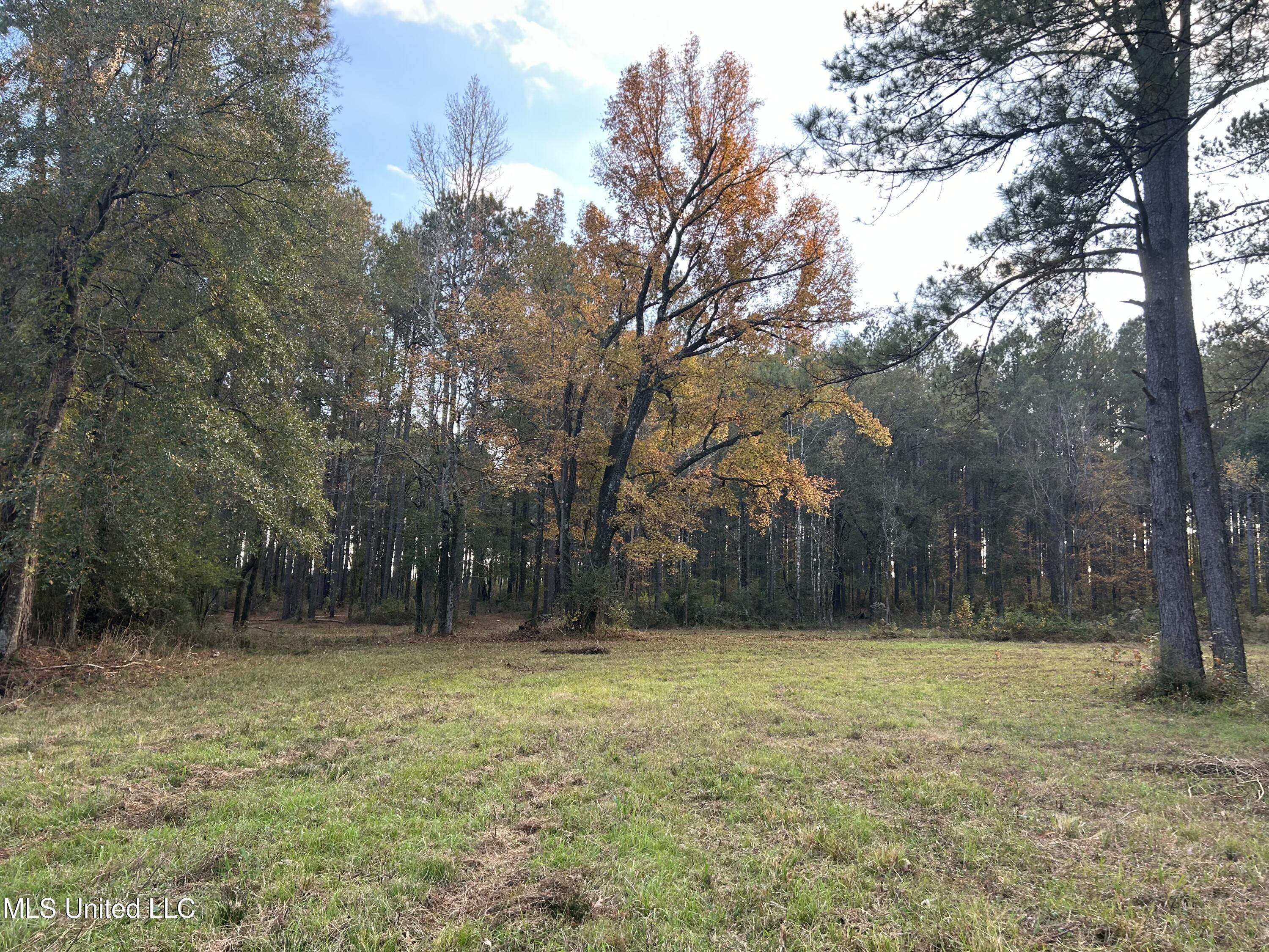 4024 Old Mill Road Osyka, MS 39657 - Photo 24 of 76 IMG_1077