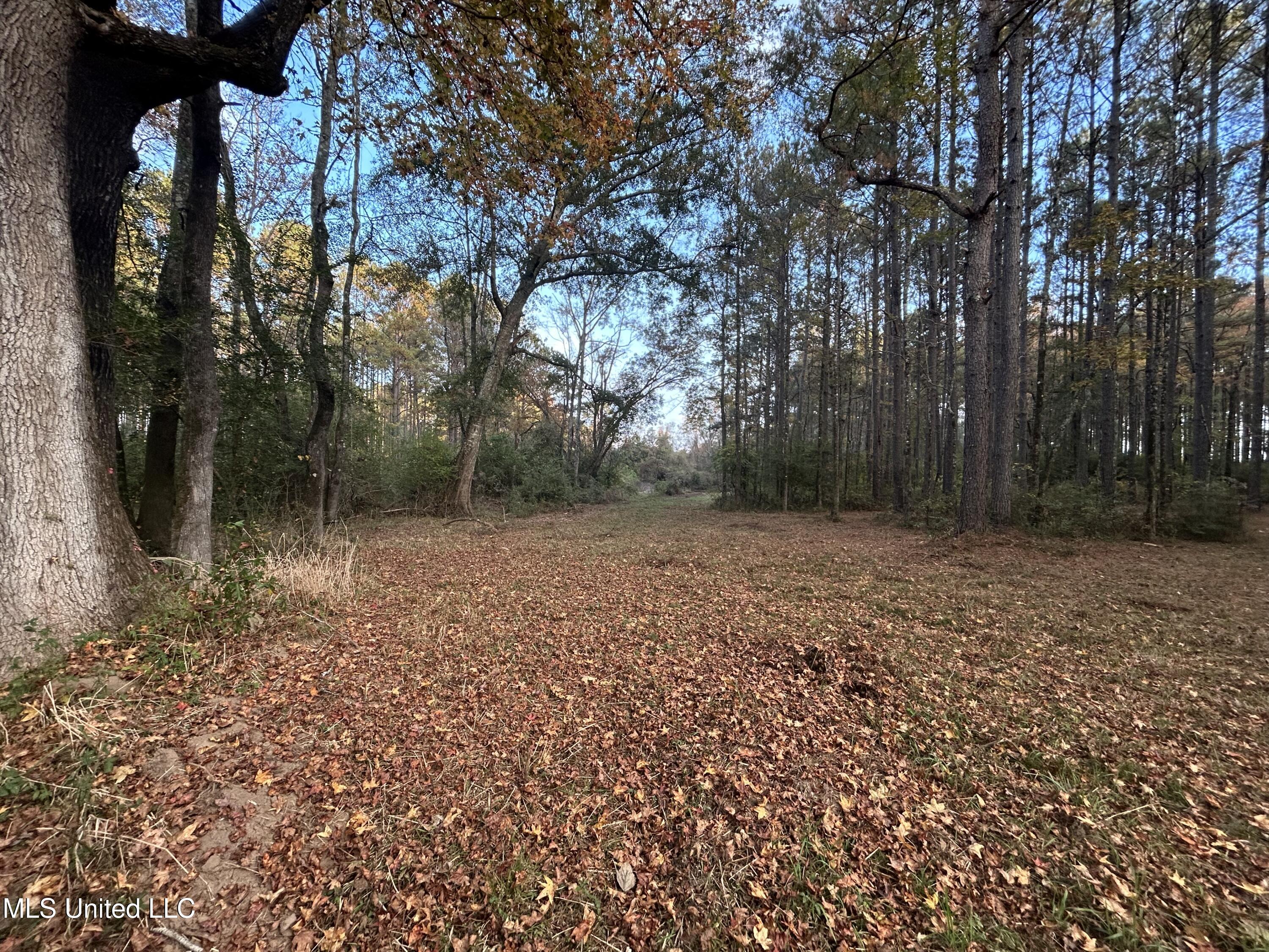 4024 Old Mill Road Osyka, MS 39657 - Photo 26 of 76 IMG_1082