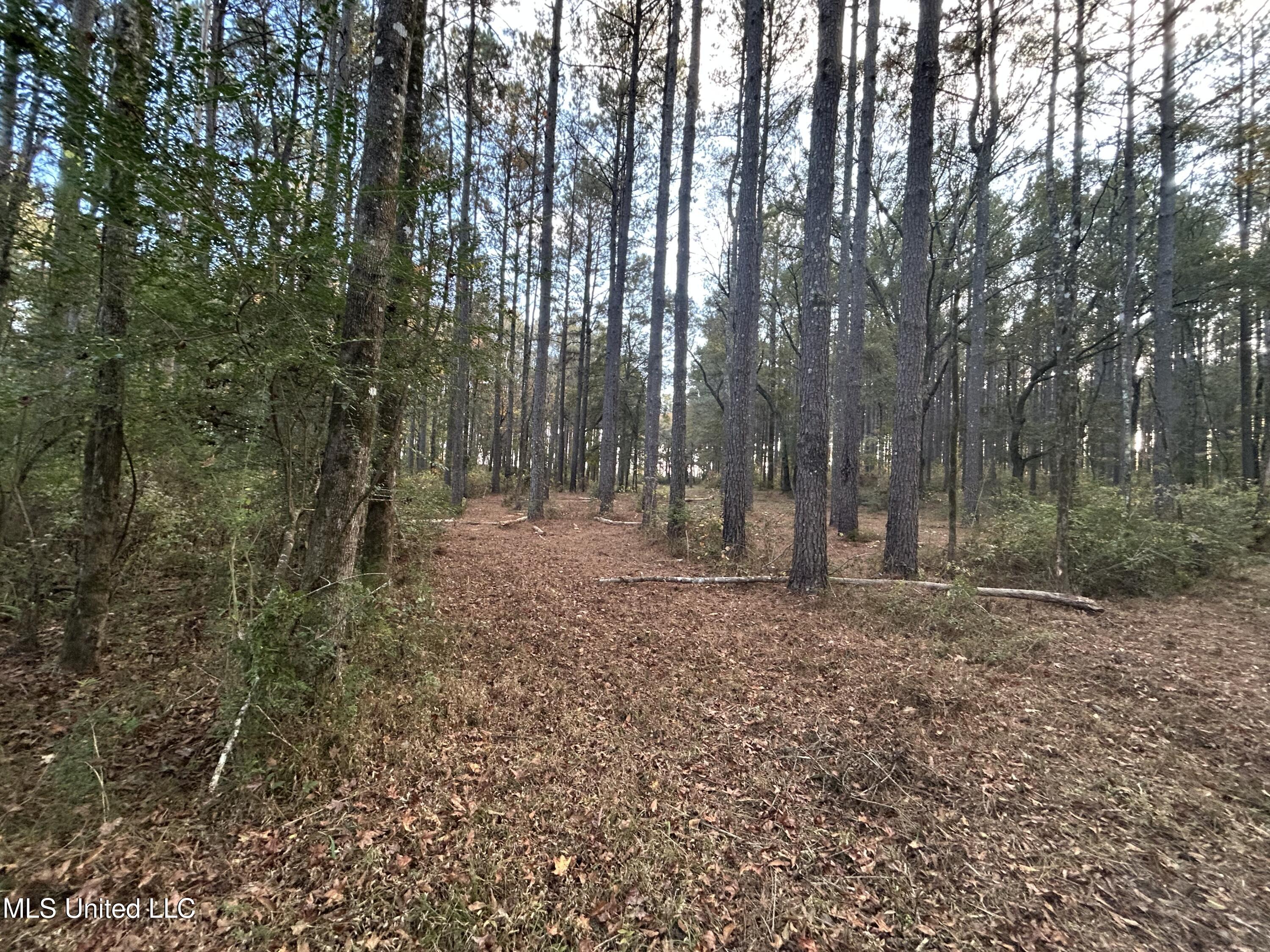 4024 Old Mill Road Osyka, MS 39657 - Photo 27 of 76 IMG_1083