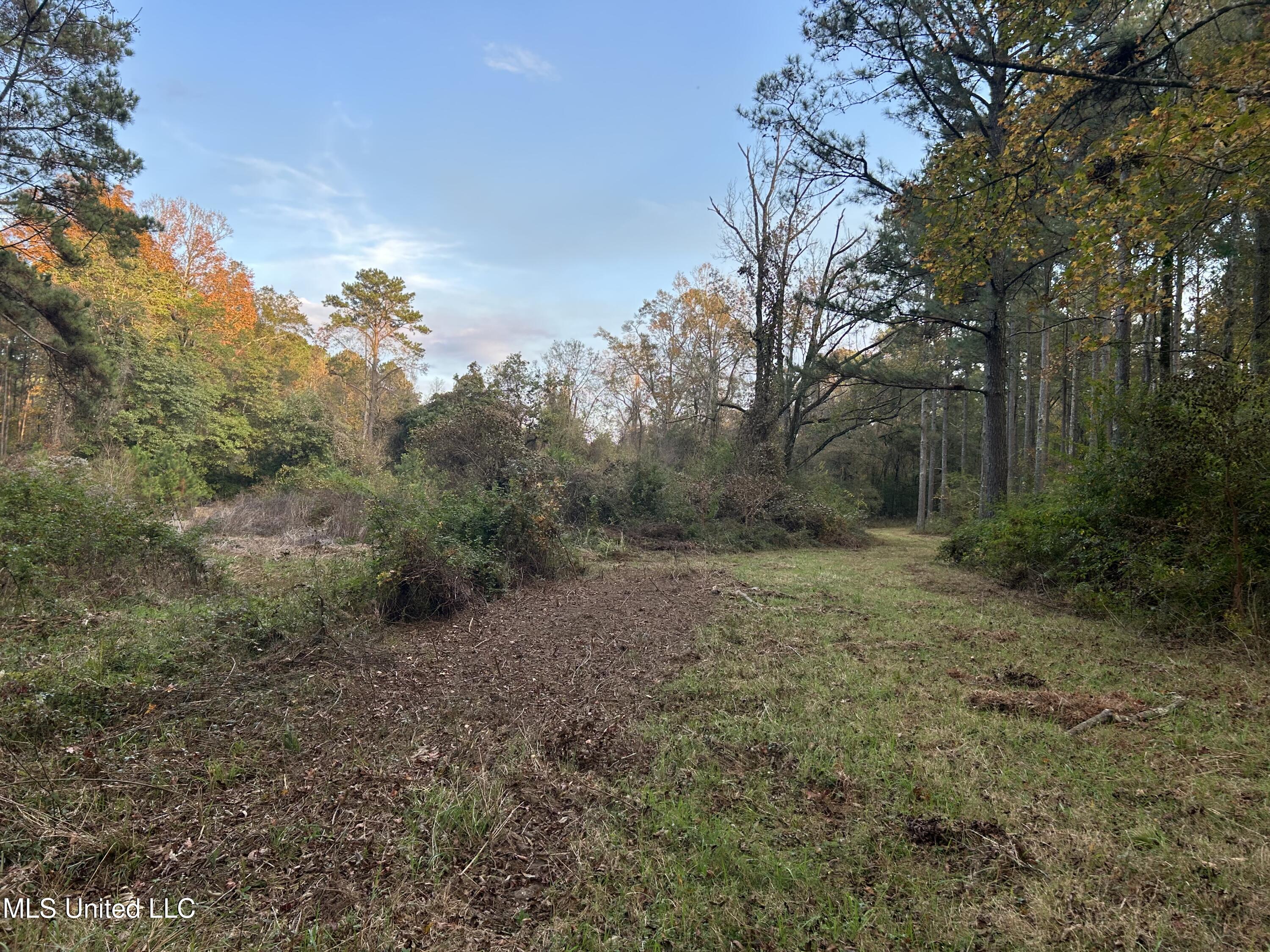 4024 Old Mill Road Osyka, MS 39657 - Photo 29 of 76 IMG_1085