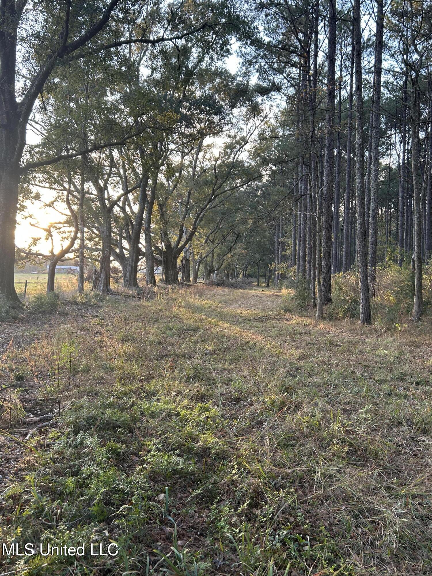 4024 Old Mill Road Osyka, MS 39657 - Photo 31 of 76 IMG_1090
