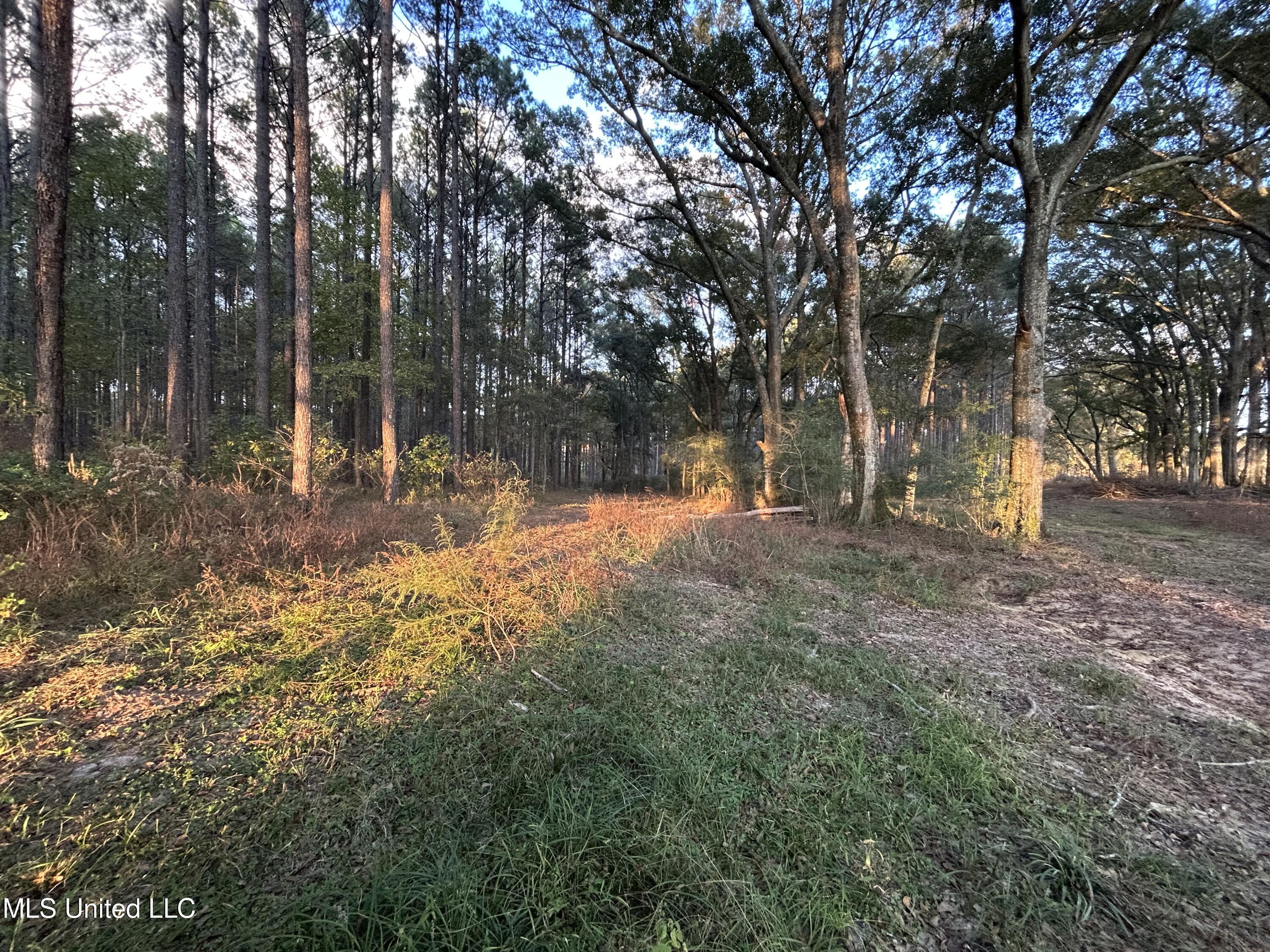 4024 Old Mill Road Osyka, MS 39657 - Photo 36 of 76 IMG_1110