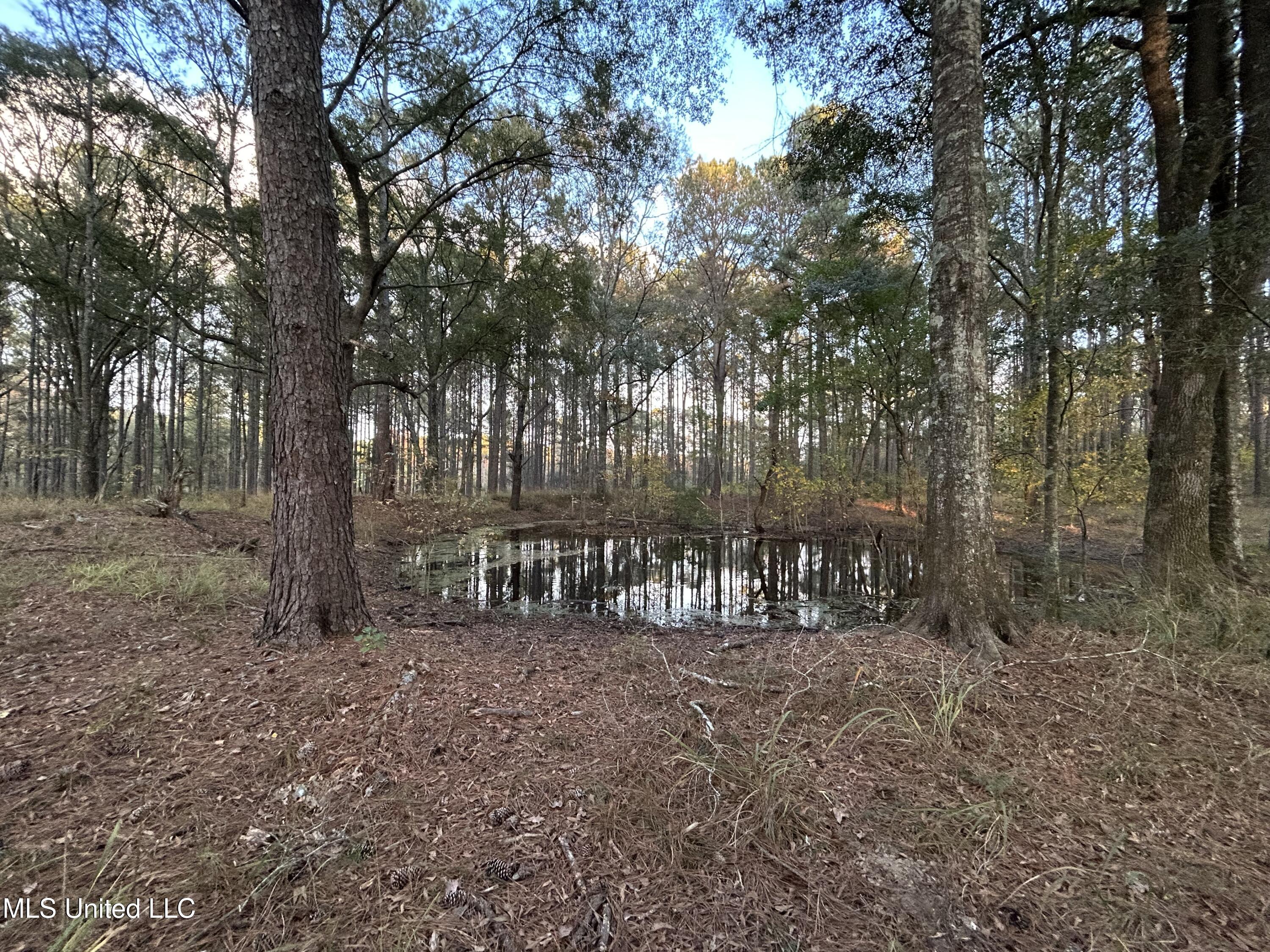 4024 Old Mill Road Osyka, MS 39657 - Photo 5 of 76 IMG_1124